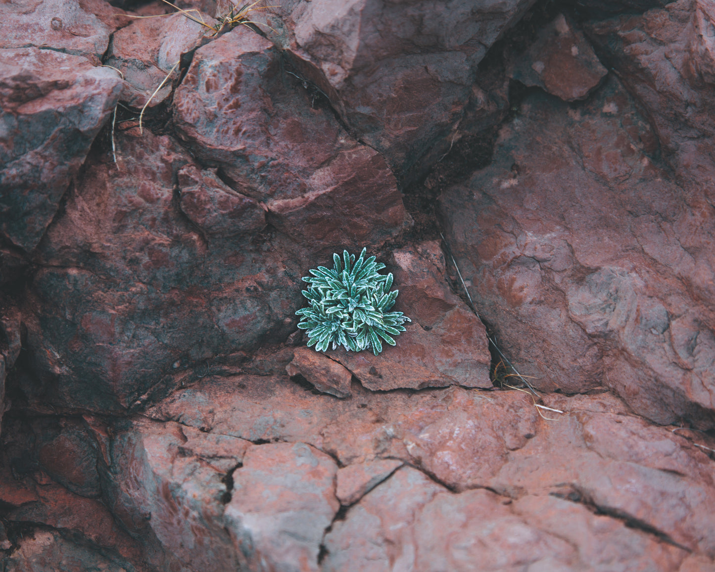 Materialising Colour