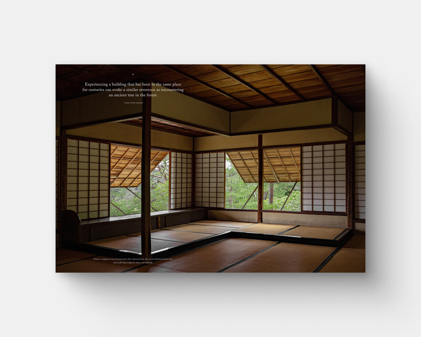 Quietud: una exploración de la estética japonesa en la arquitectura y el diseño