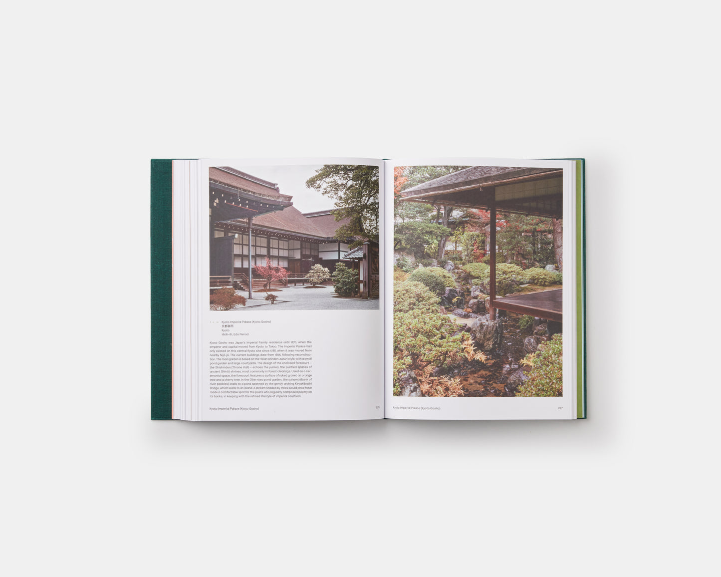 El jardín japonés