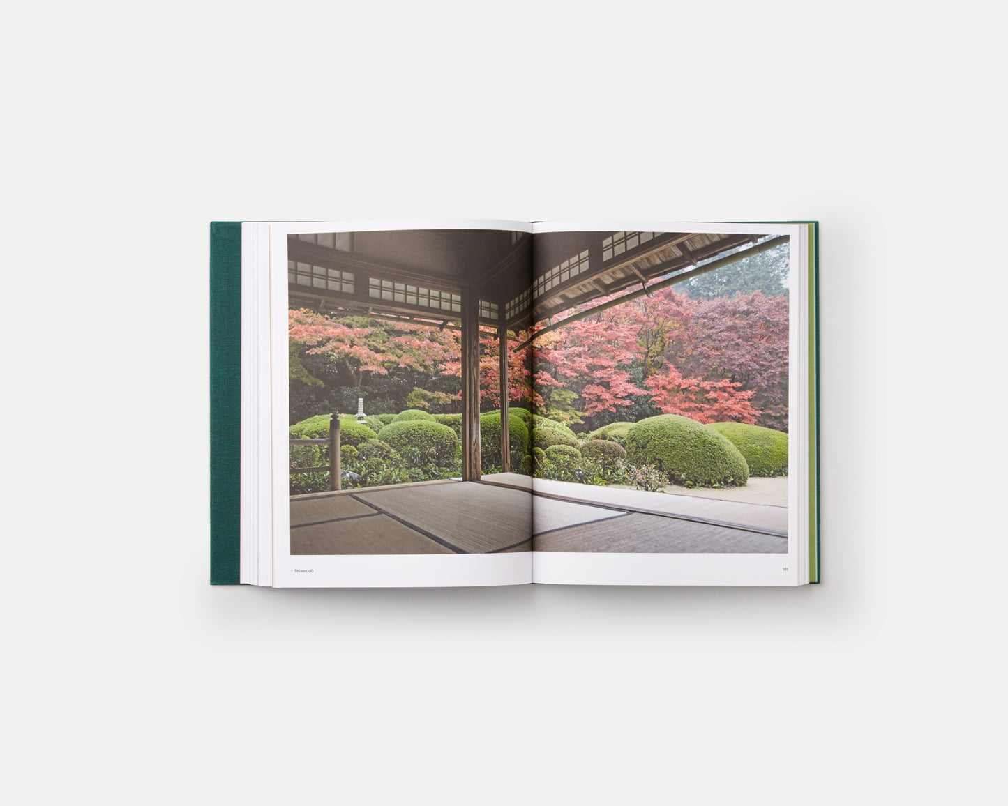 El jardín japonés