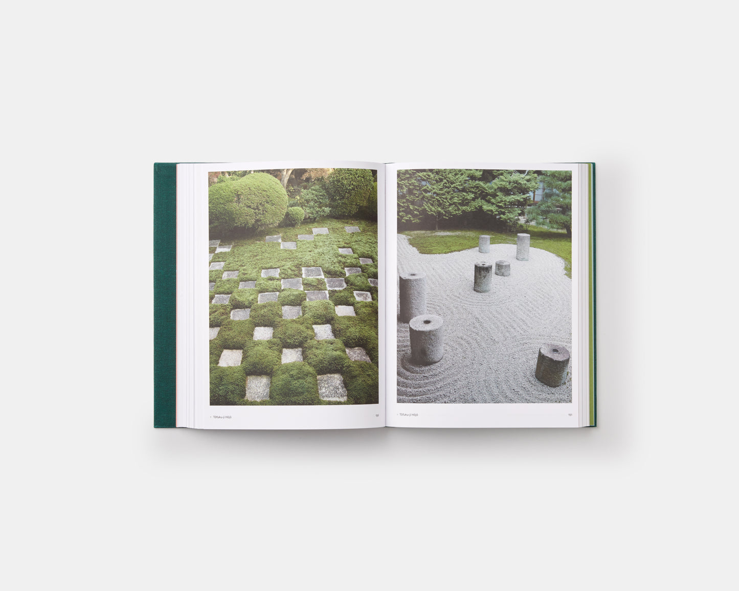 El jardín japonés