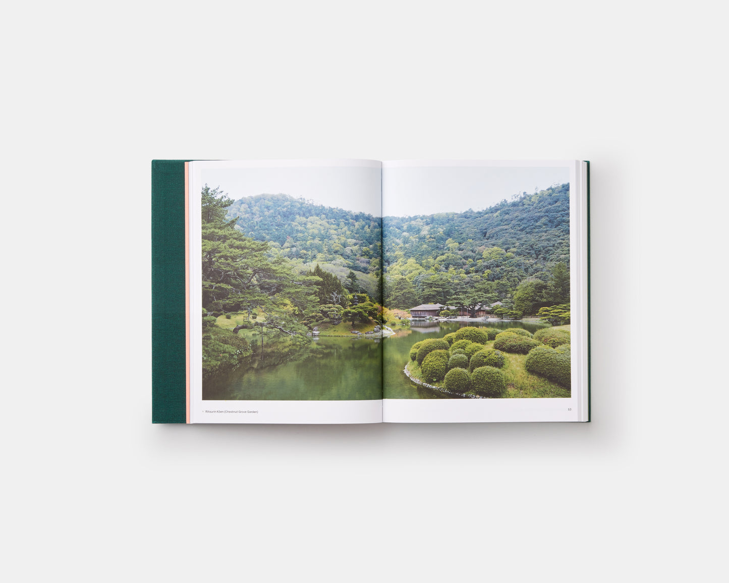 El jardín japonés