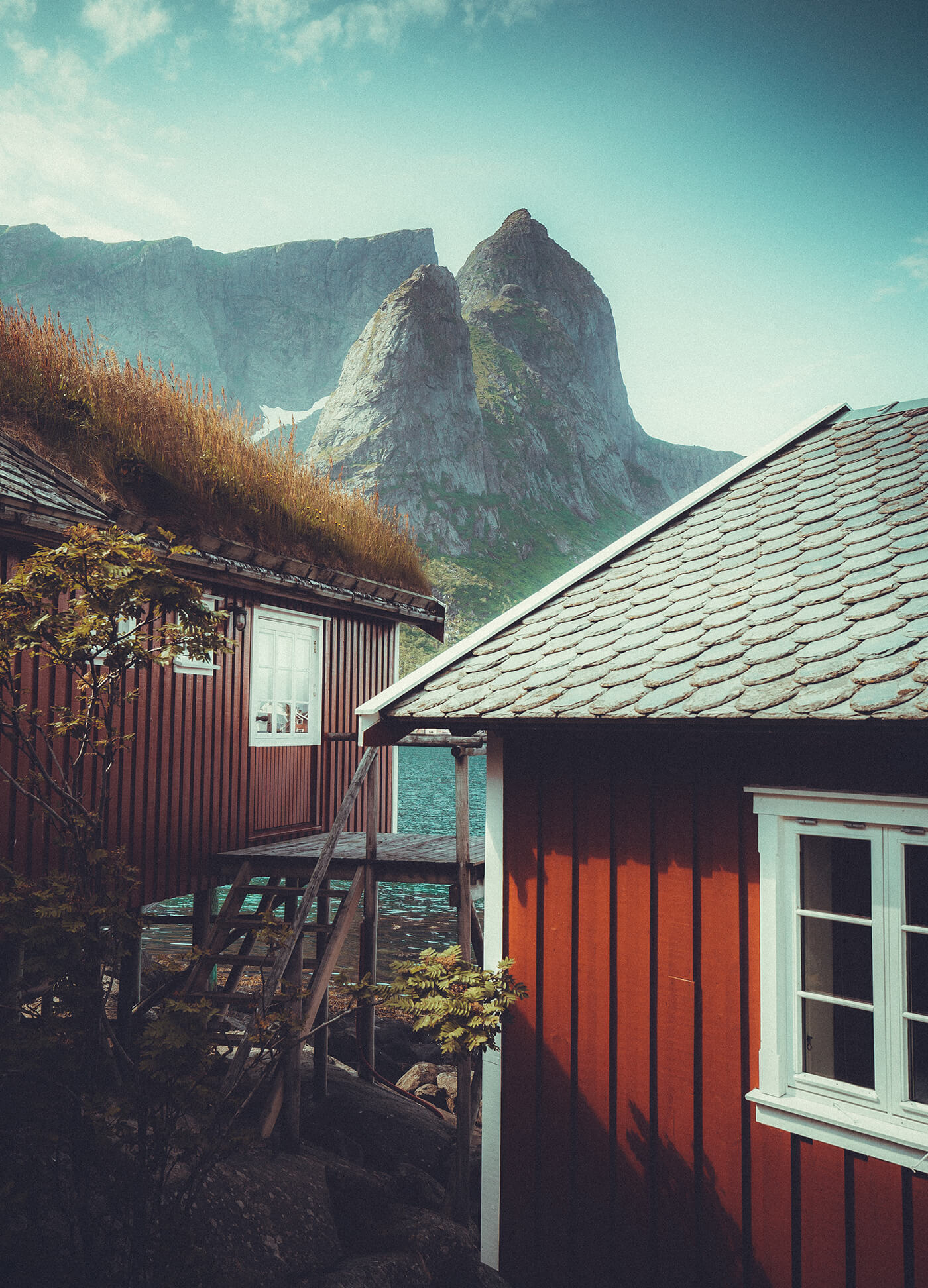 LR-01 — Lightroom Analog Film Profiles & Presets Pack