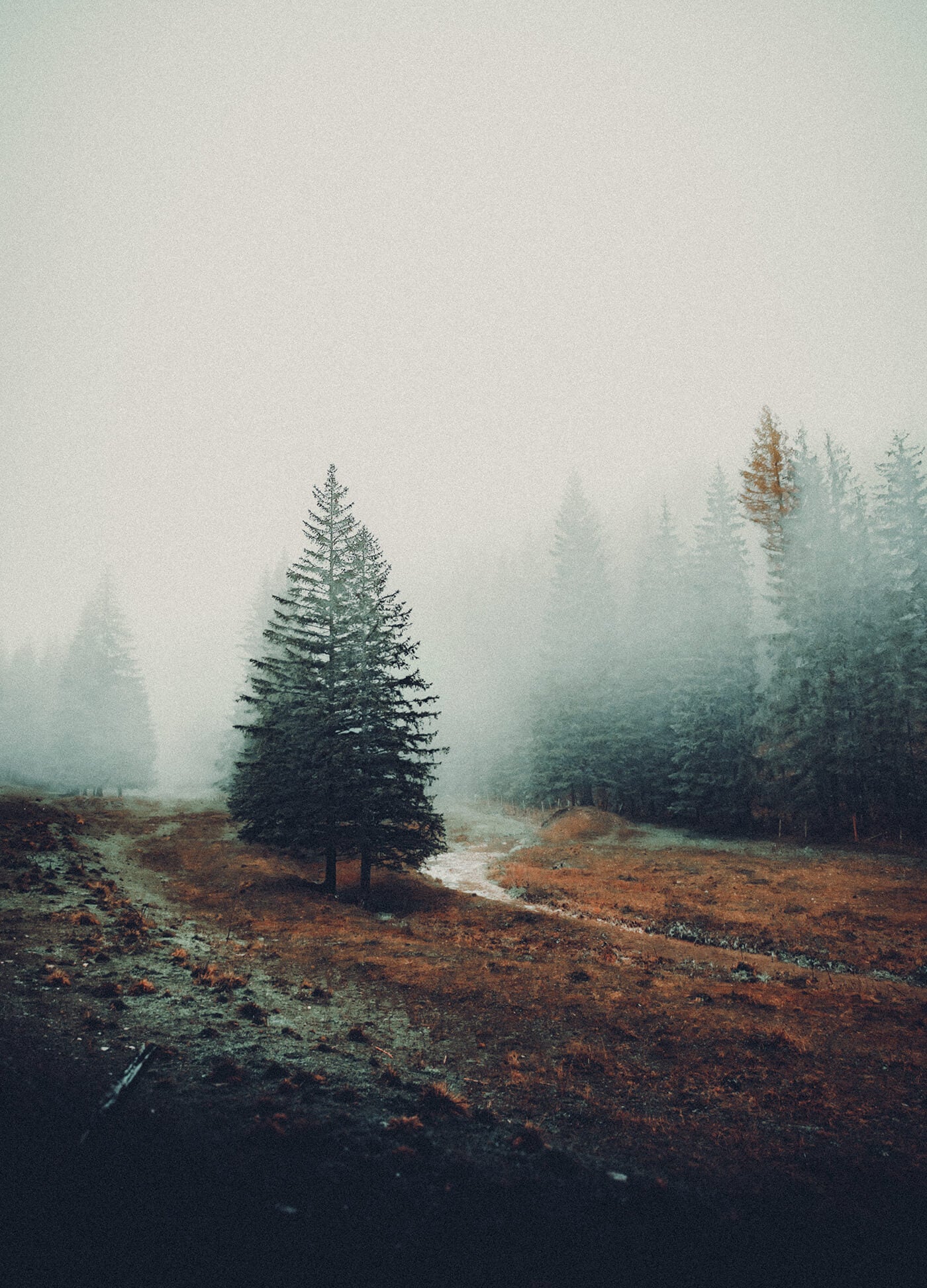 LR-01 — Lightroom Analog Film Profiles & Presets Pack